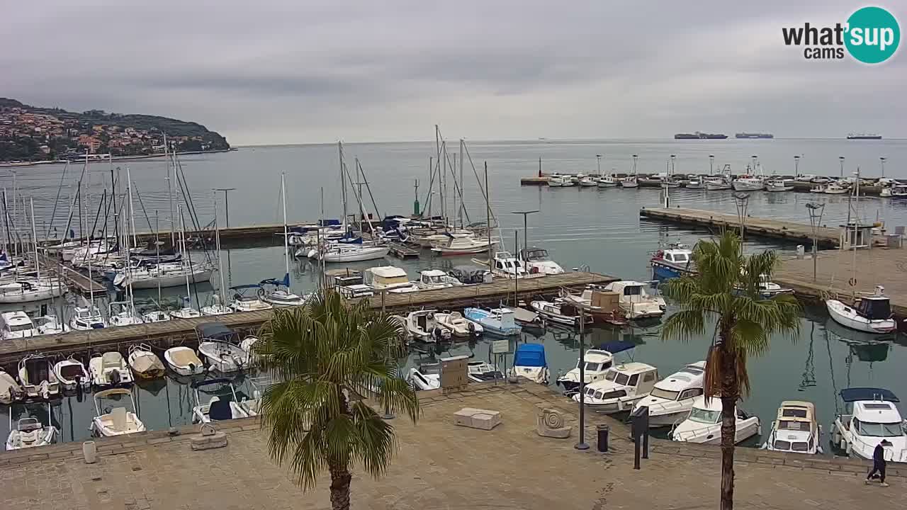 Spletna kamera Koper – Panorama na marino in promenado s Hotela Grand Koper