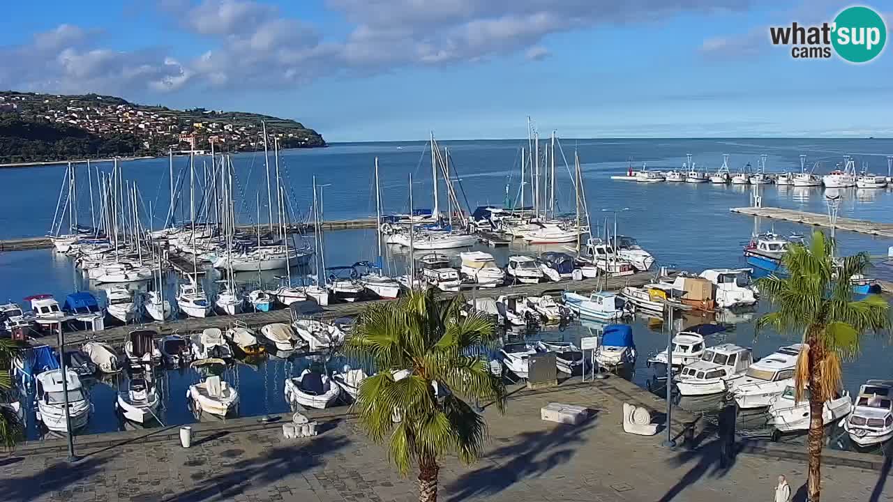 Spletna kamera Koper – Panorama na marino in promenado s Hotela Grand Koper