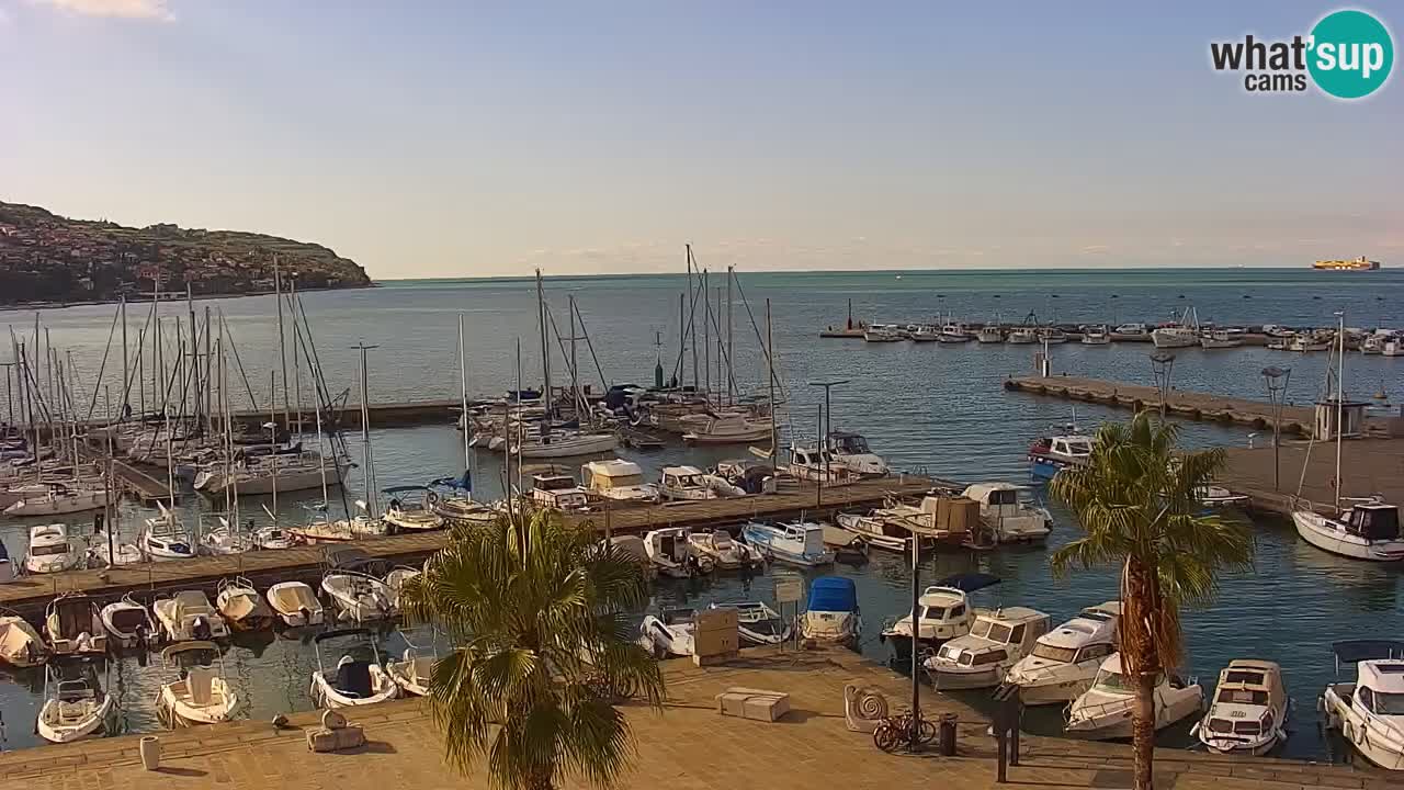 Camera en vivo Koper – puerto deportivo y paseo marítimo desde el Hotel Grand Koper