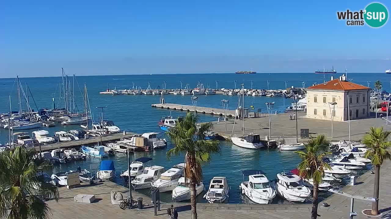 Spletna kamera Koper – Panorama na marino in promenado s Hotela Grand Koper