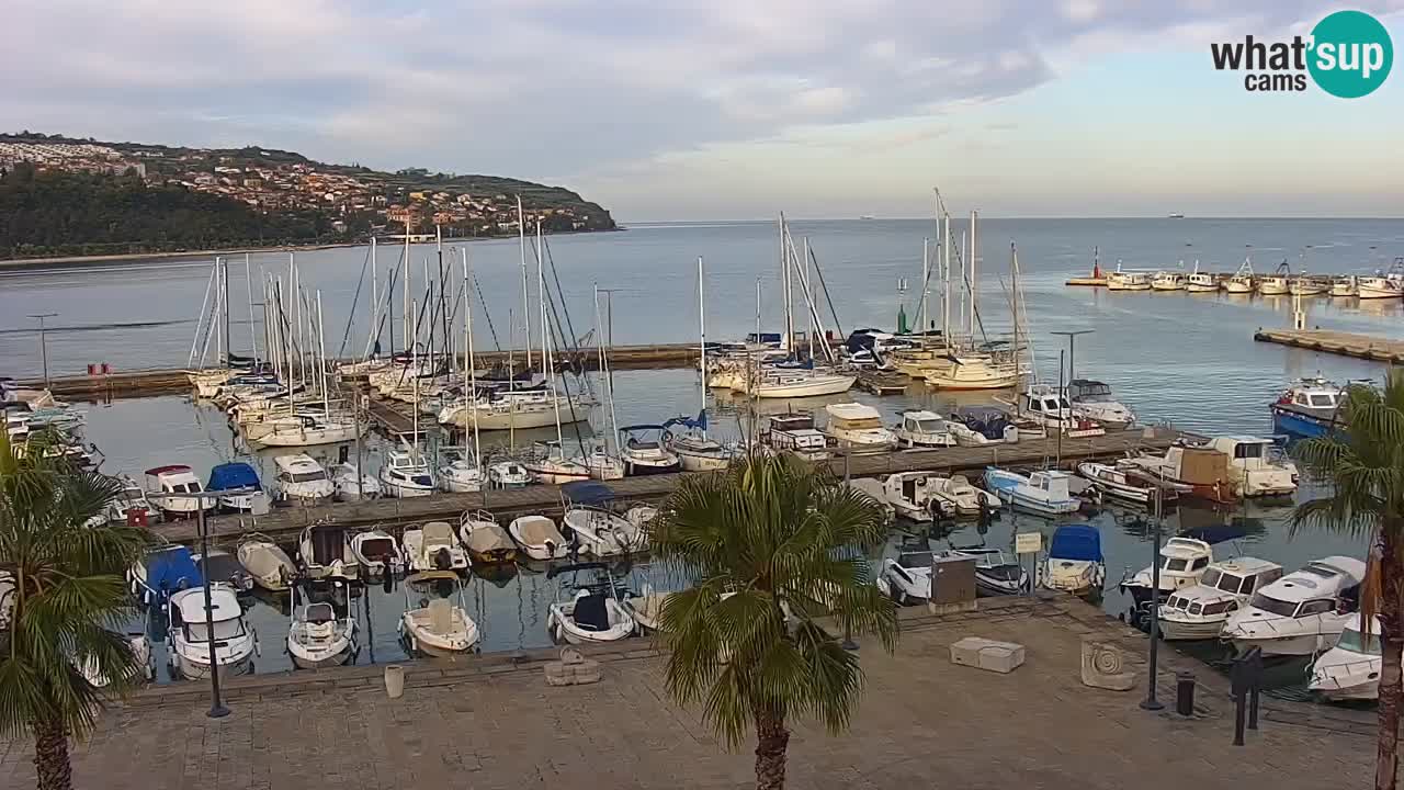 Webcam Koper – Panorama of the marina and promenade from the Grand Hotel Koper