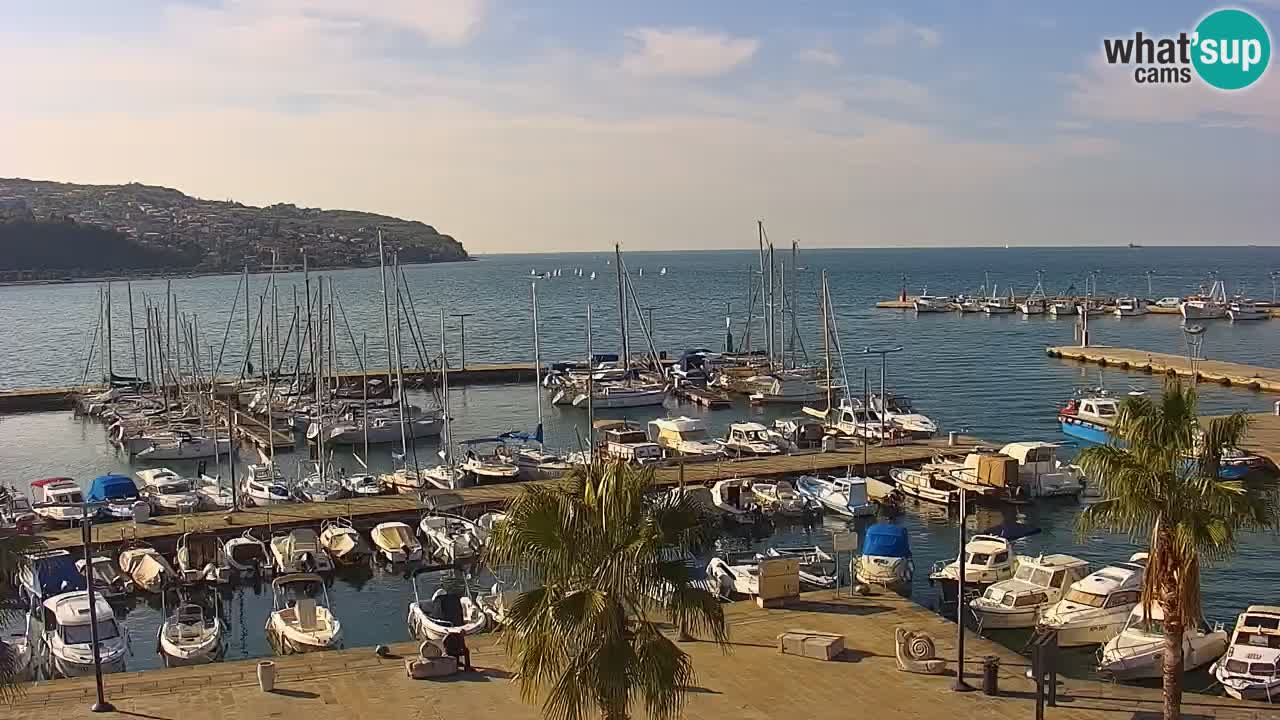 Spletna kamera Koper – Panorama na marino in promenado s Hotela Grand Koper