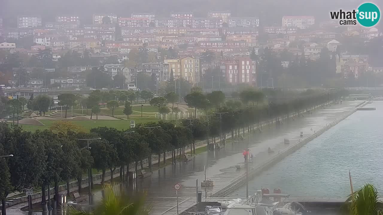 Webcam Koper – Panorama of the marina and promenade from the Grand Hotel Koper
