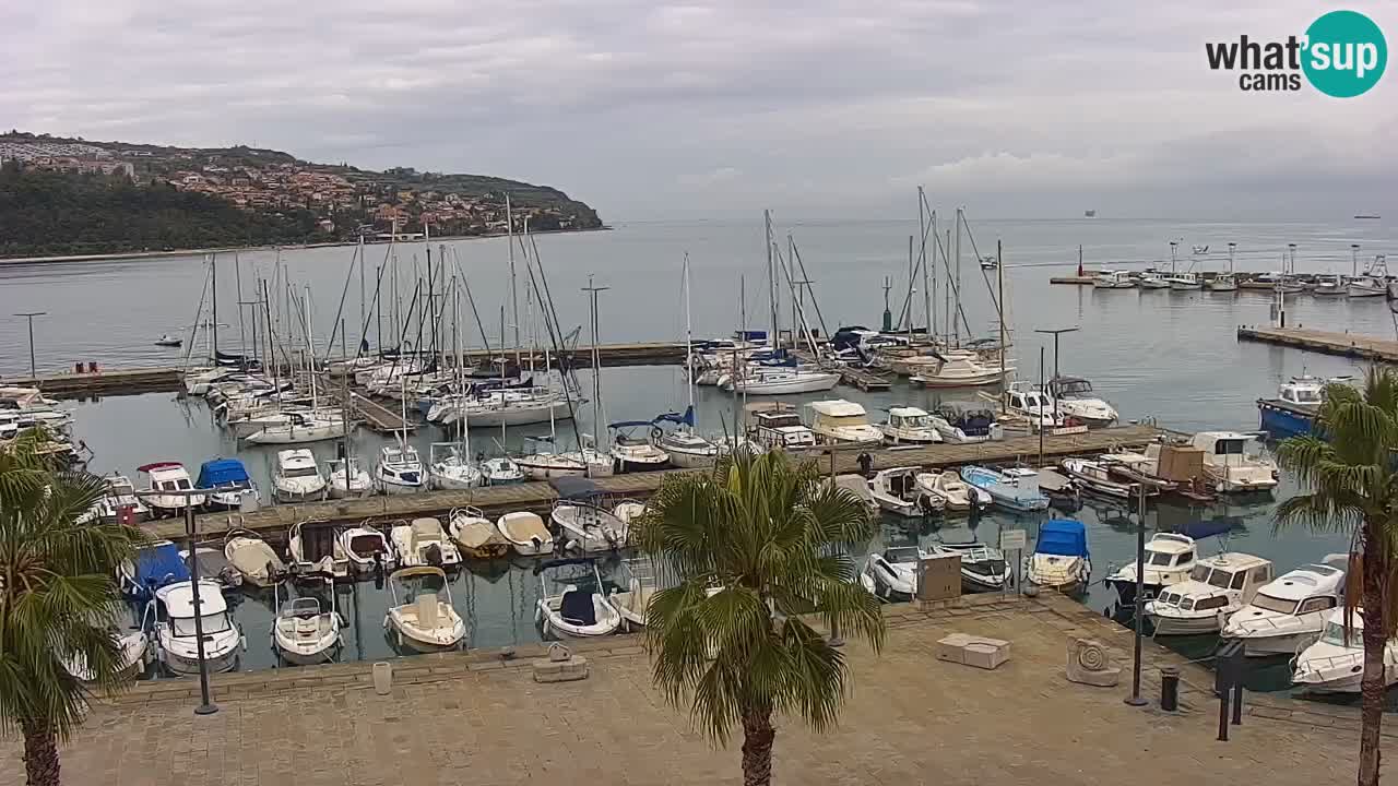 Camera en vivo Koper – puerto deportivo y paseo marítimo desde el Hotel Grand Koper