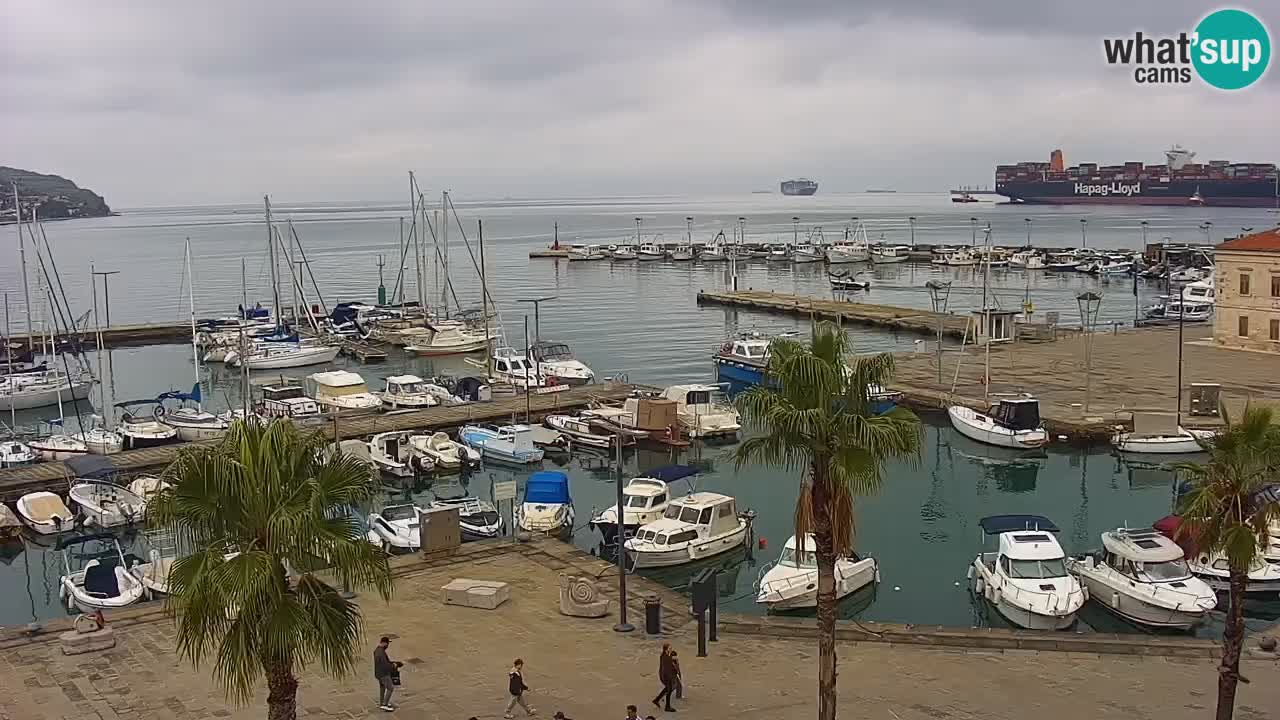 Webcam Koper – Panorama de la marina et de la promenade depuis le Grand Hotel Koper