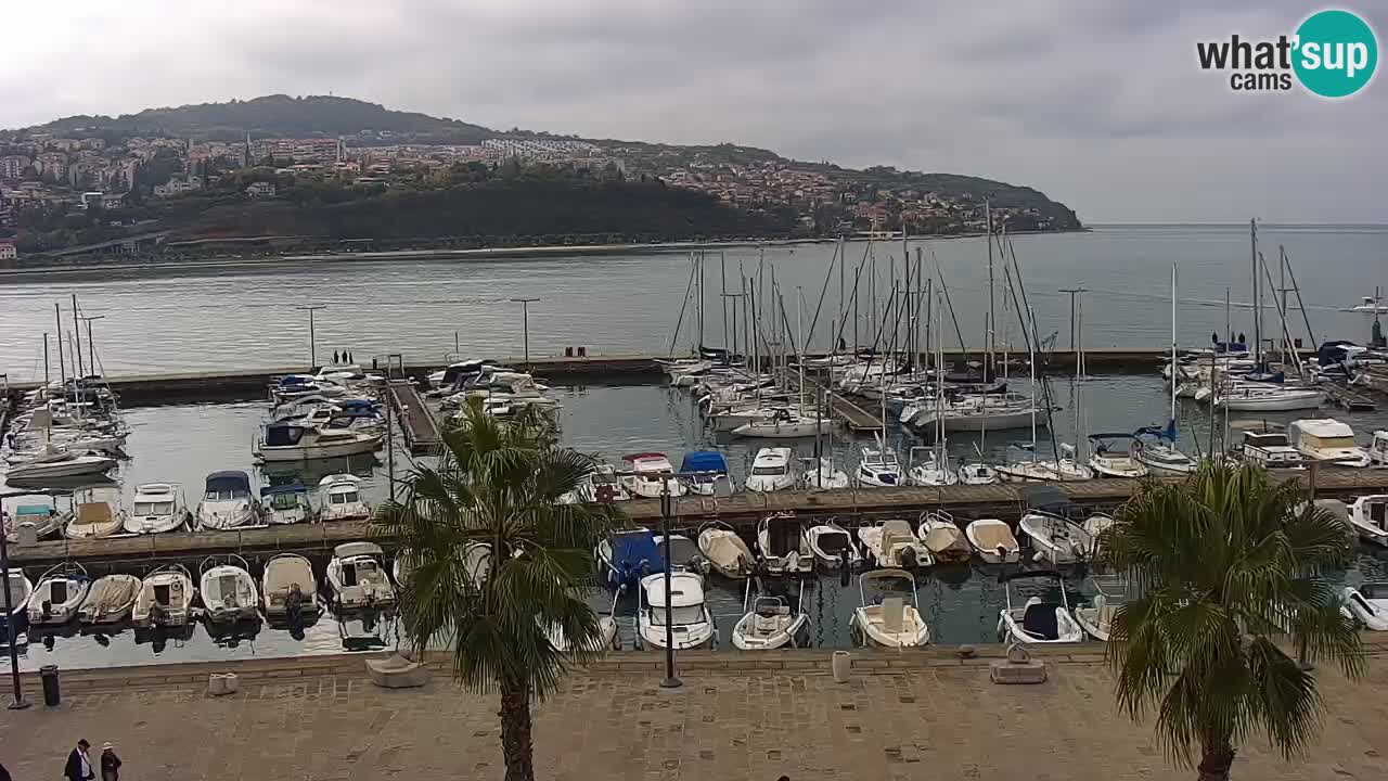 Camera en vivo Koper – puerto deportivo y paseo marítimo desde el Hotel Grand Koper