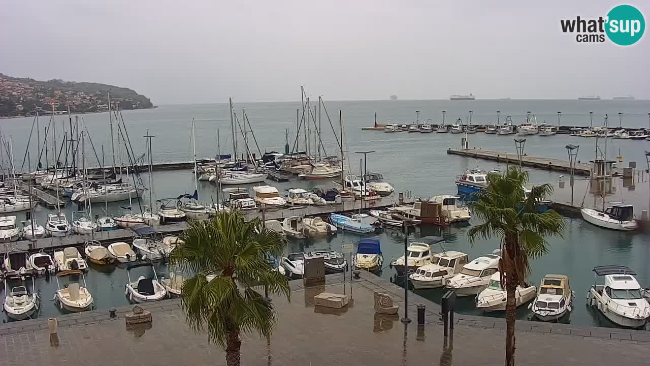 Webcam Koper – Panorama de la marina et de la promenade depuis le Grand Hotel Koper
