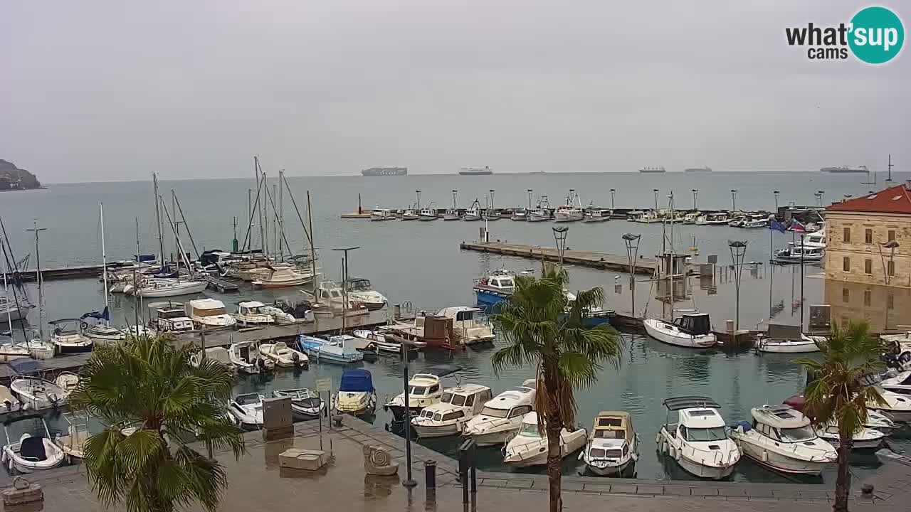 Webcam Koper – Panorama des Jachthafens und der Promenade vom Hotel Grand Koper