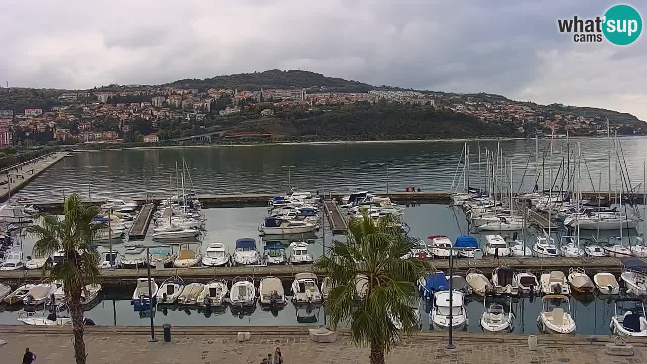 Der Hafen von Koper Live-Webcam – Kreuzfahrt- und Frachthafen – Slowenien