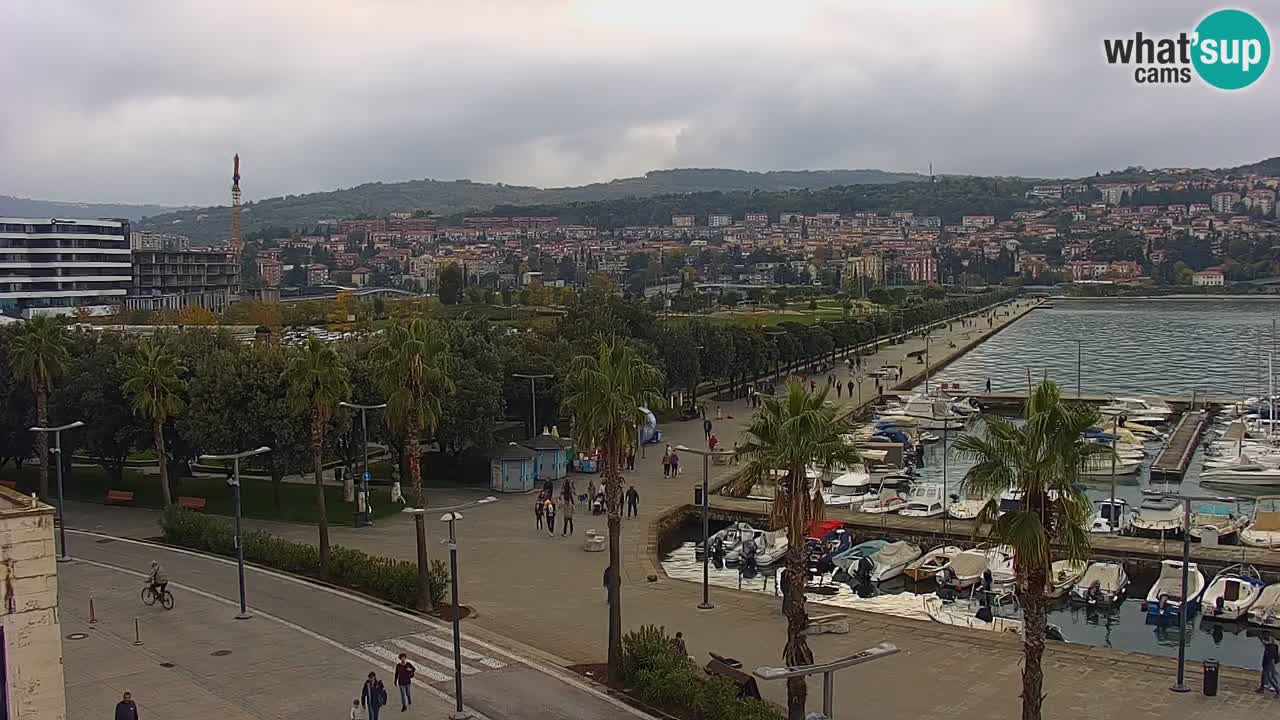 Der Hafen von Koper Live-Webcam – Kreuzfahrt- und Frachthafen – Slowenien