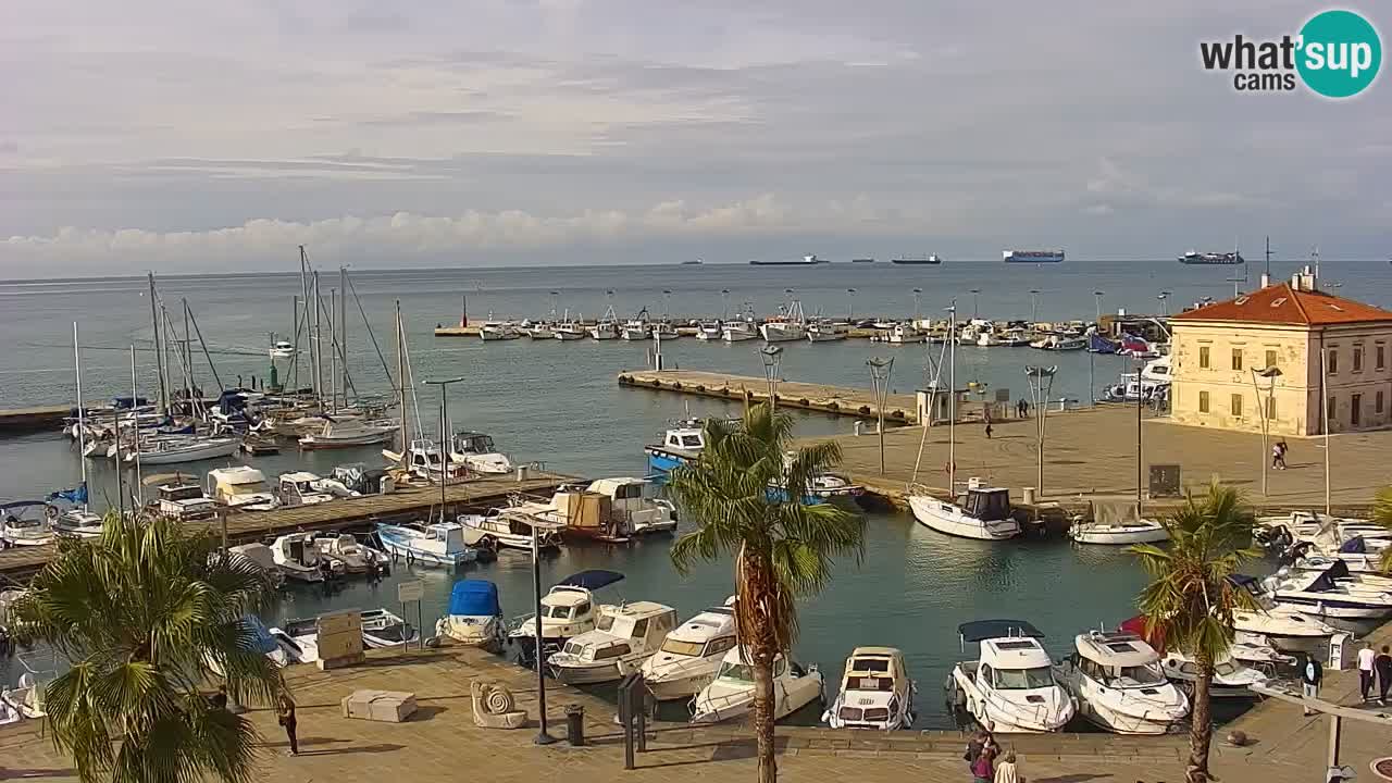 Web kamera Koper – marina i promenada – hotel Grand Koper