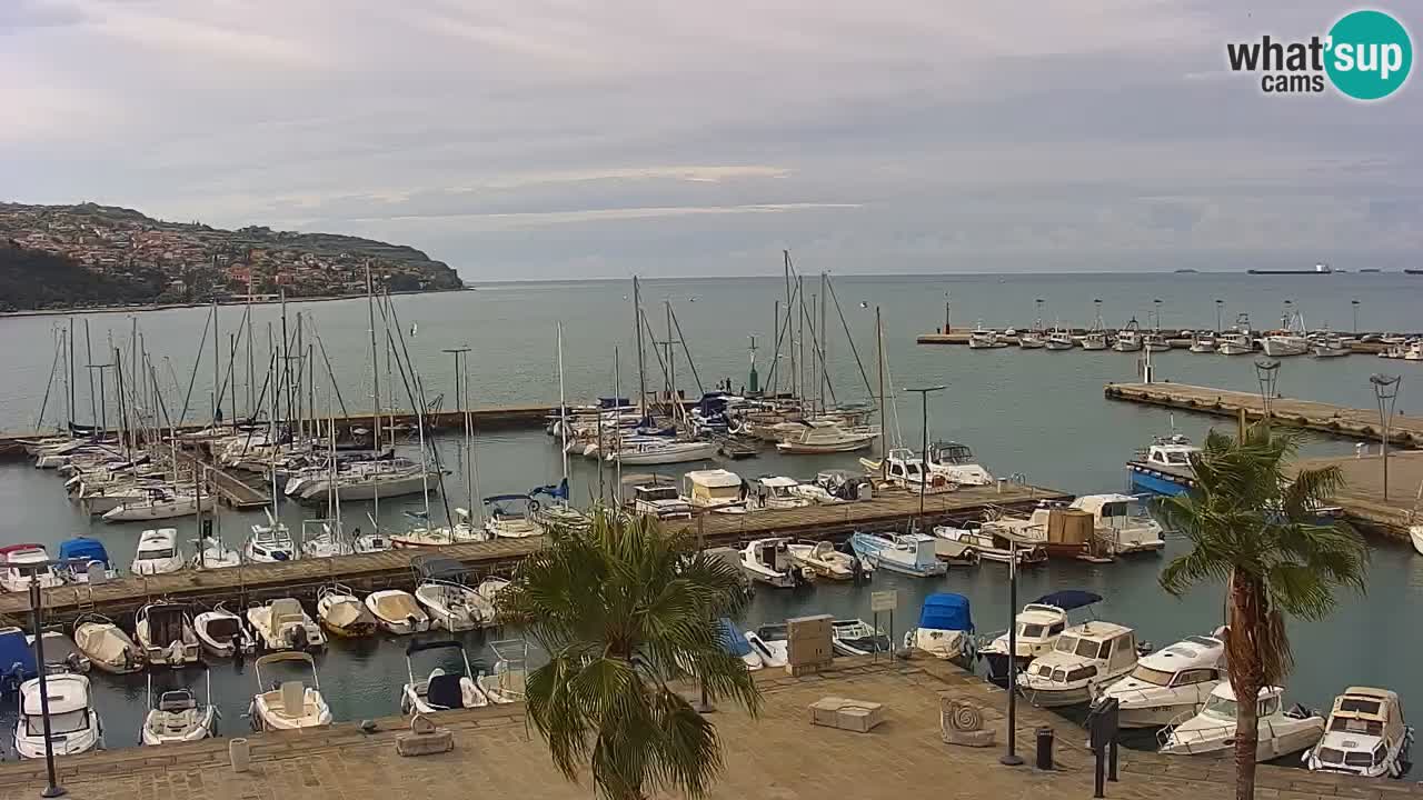 Webcam Koper – Panorama des Jachthafens und der Promenade vom Hotel Grand Koper