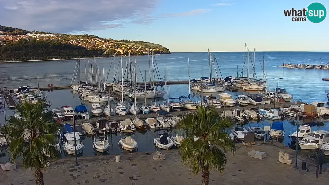 Camera en vivo Koper – puerto deportivo y paseo marítimo desde el Hotel Grand Koper
