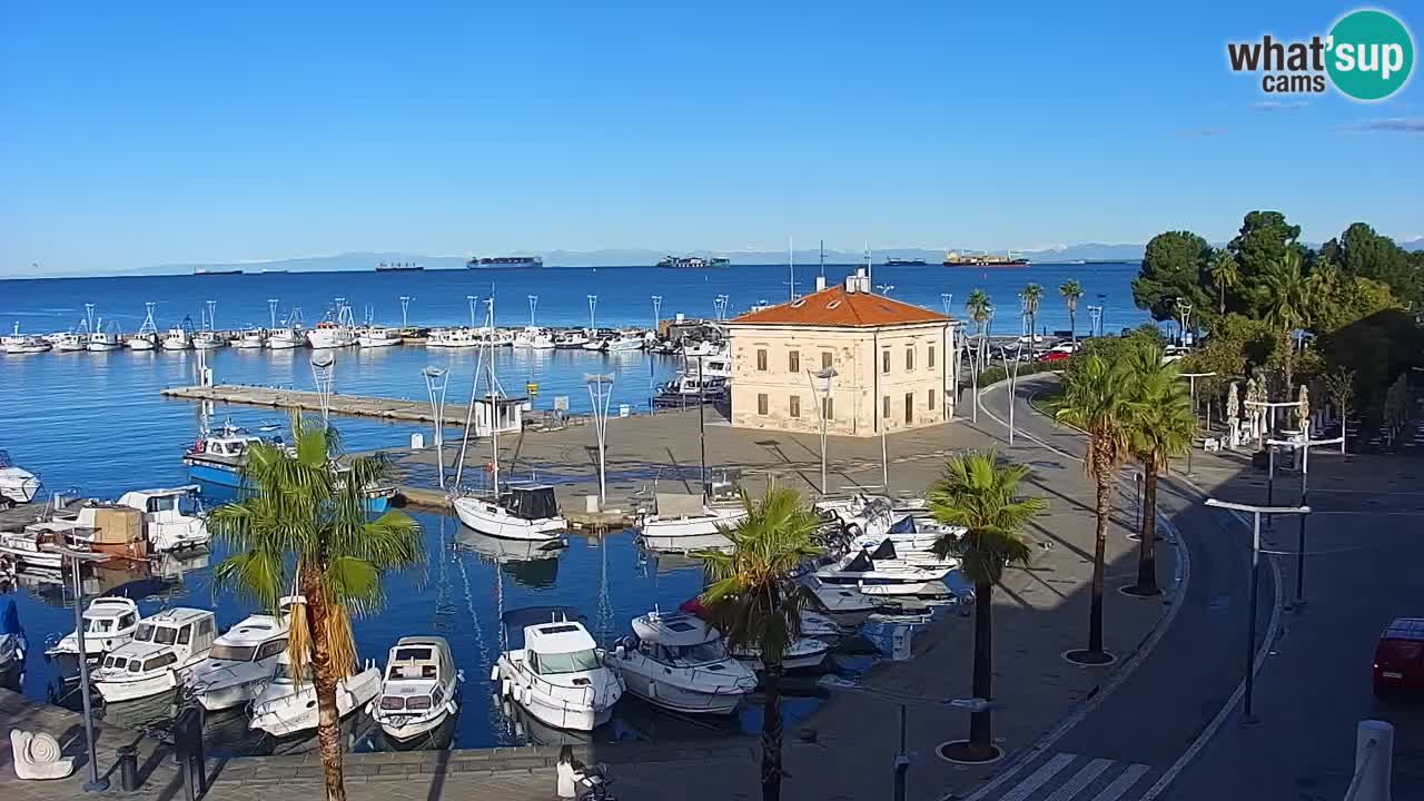 Web kamera Koper – marina i promenada – hotel Grand Koper