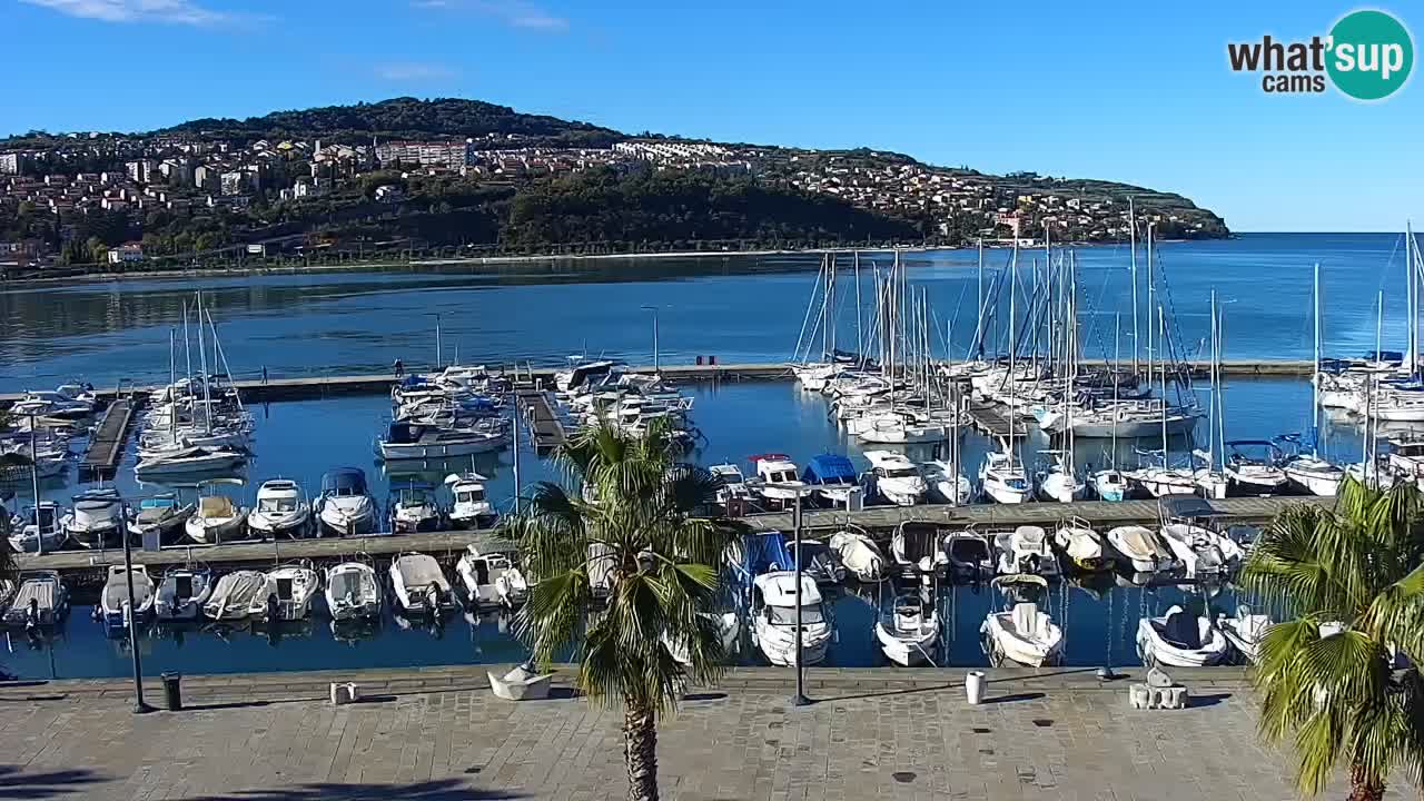 Camera en vivo Koper – puerto deportivo y paseo marítimo desde el Hotel Grand Koper