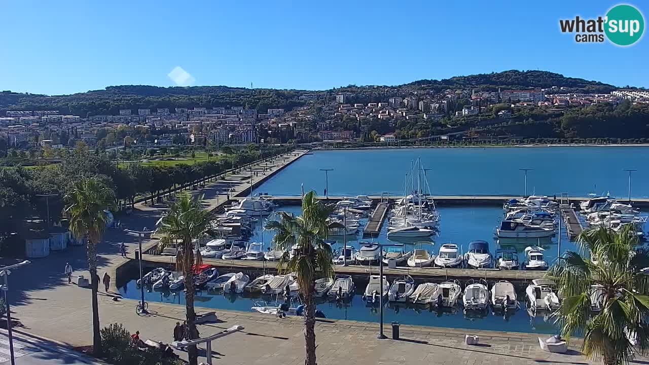 Webcam Koper – Panorama of the marina and promenade from the Grand Hotel Koper