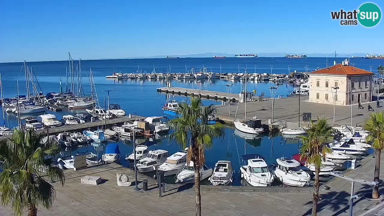 Camera en vivo Koper – puerto deportivo y paseo marítimo desde el Hotel Grand Koper