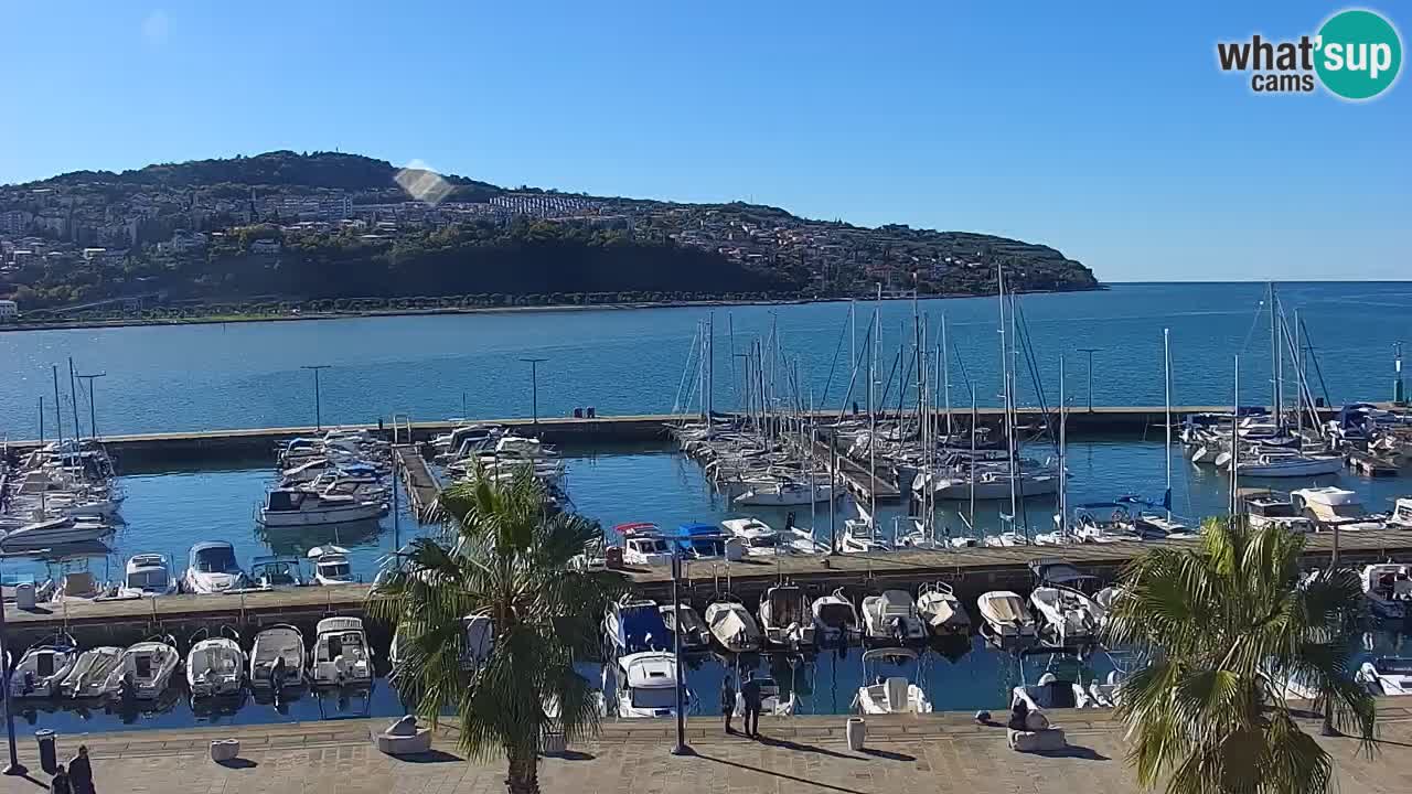 Webcam en direct du port de Koper – port de croisière et de fret – Slovénie