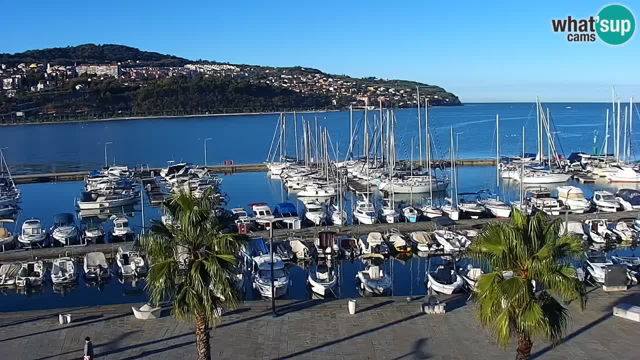 Camera en vivo Koper – puerto deportivo y paseo marítimo desde el Hotel Grand Koper