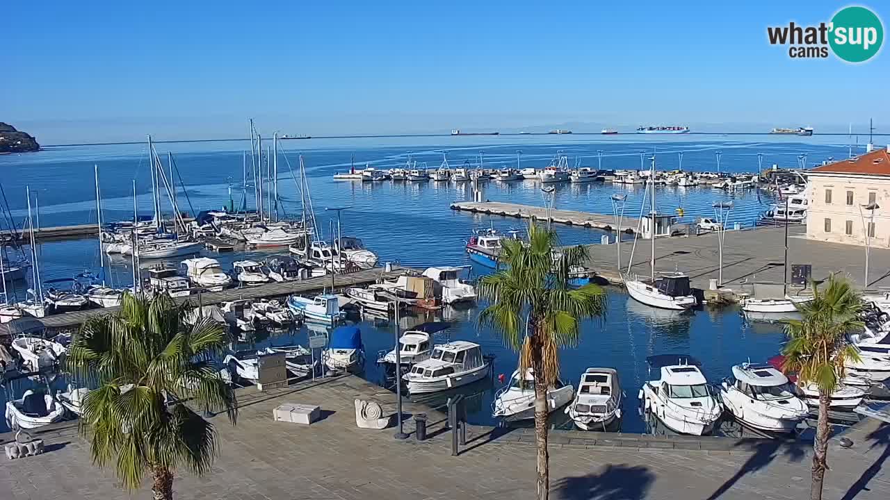 Camera en vivo Koper – puerto deportivo y paseo marítimo desde el Hotel Grand Koper