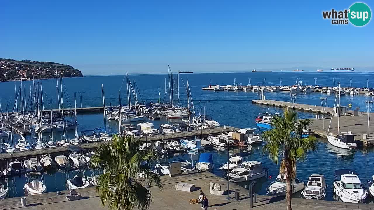 Web kamera Koper – marina i promenada – hotel Grand Koper