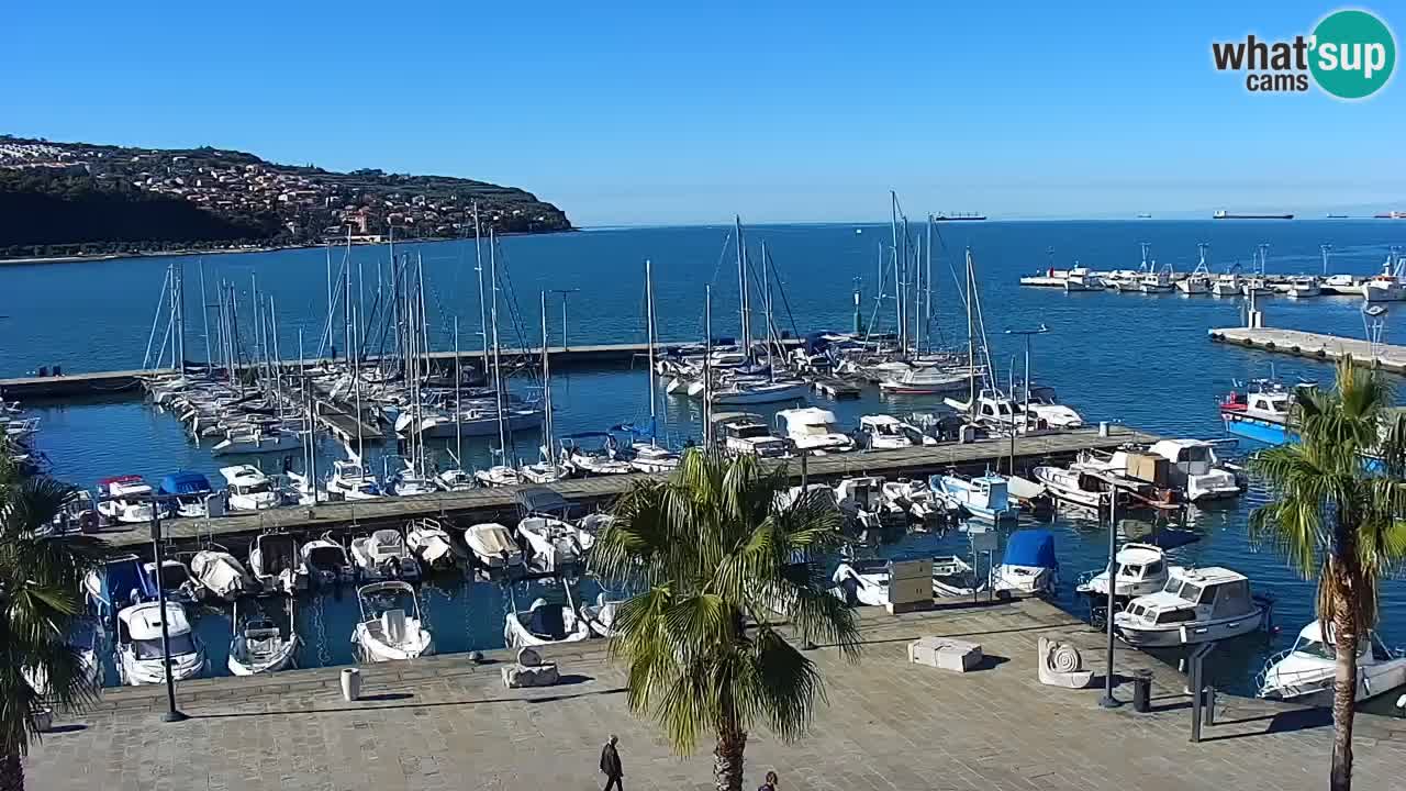 Web kamera Koper – marina i promenada – hotel Grand Koper