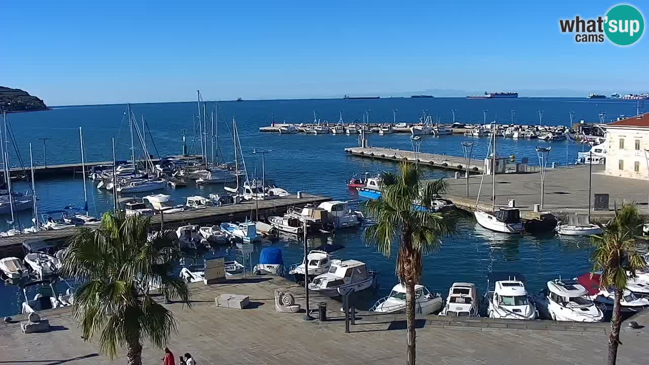 Spletna kamera Koper – Panorama na marino in promenado s Hotela Grand Koper