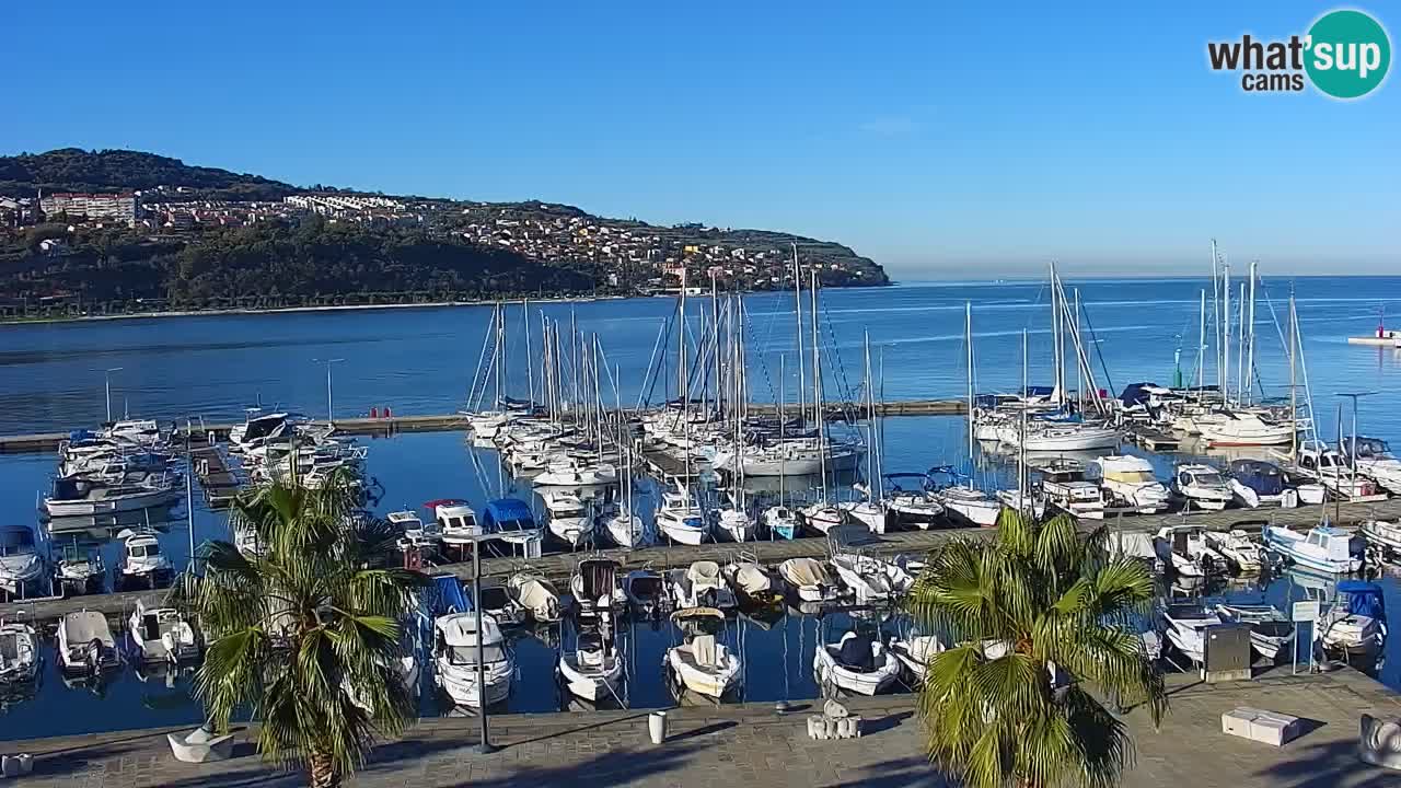 Spletna kamera Koper – Panorama na marino in promenado s Hotela Grand Koper