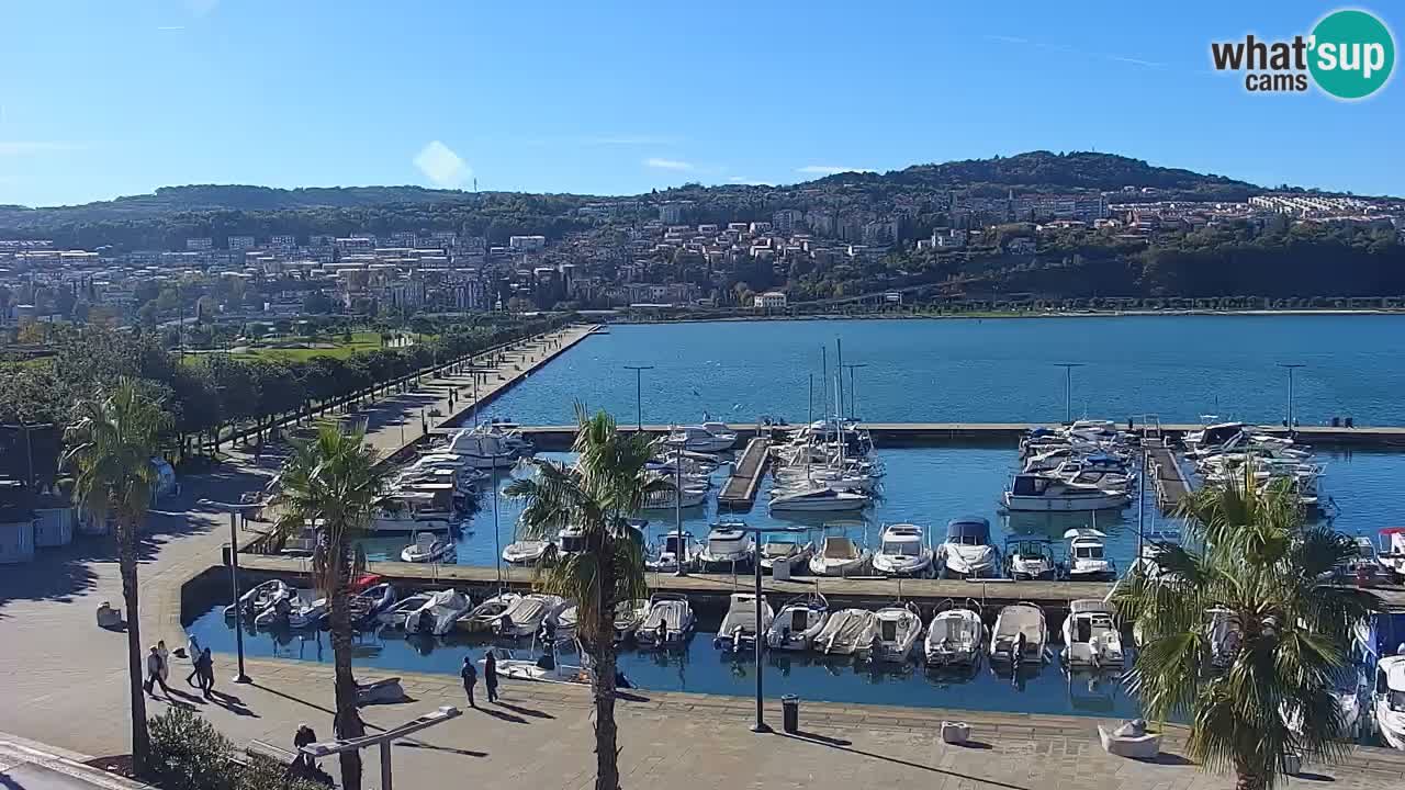 Web kamera Koper – marina i promenada – hotel Grand Koper
