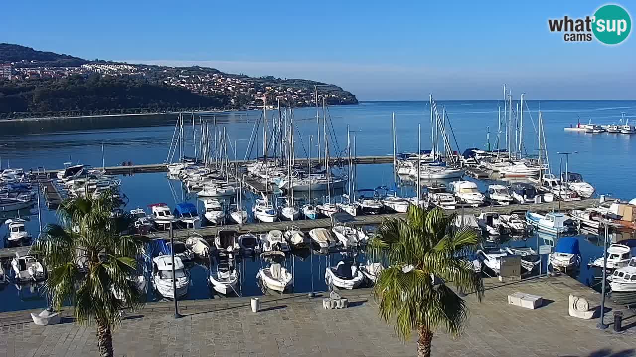 Camera en vivo Koper – puerto deportivo y paseo marítimo desde el Hotel Grand Koper