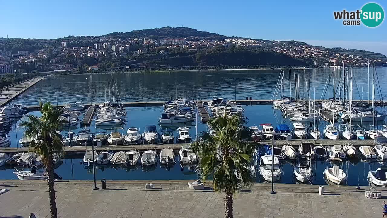 Web kamera Koper – marina i promenada – hotel Grand Koper