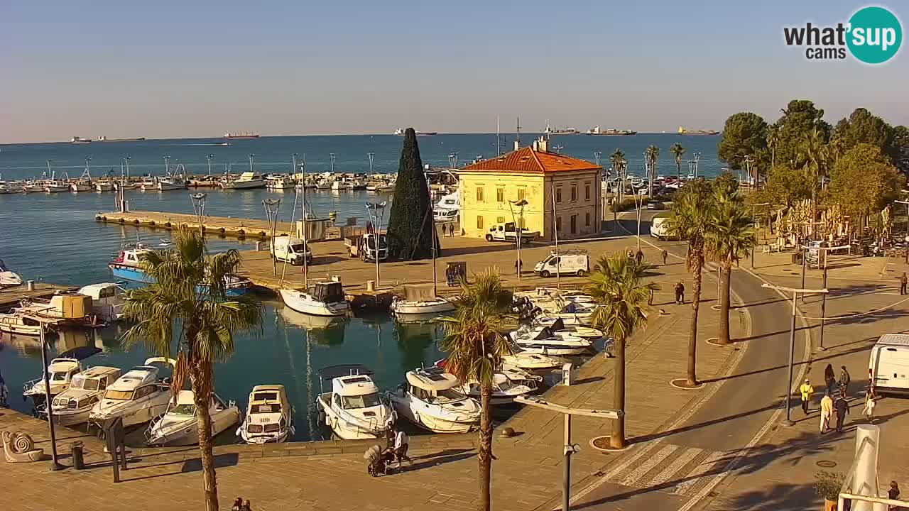 Live cam Koper – Ukmarjev trg