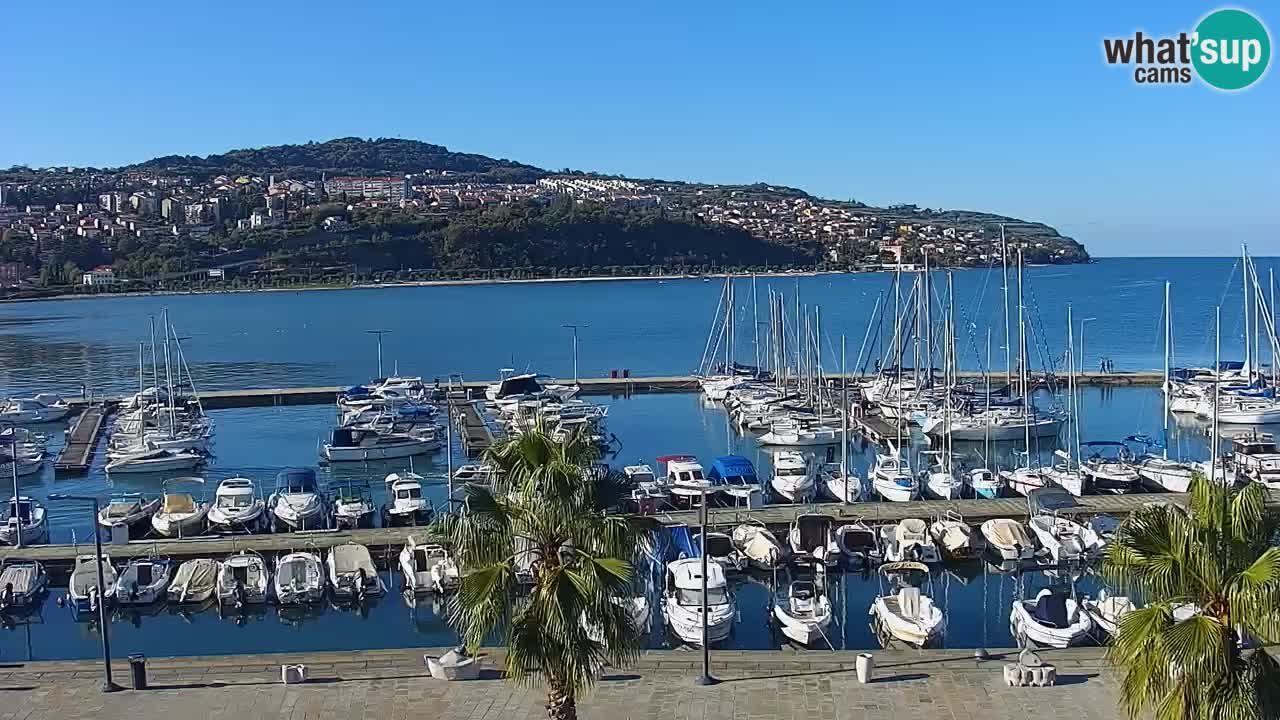 Spletna kamera Koper – Panorama na marino in promenado s Hotela Grand Koper
