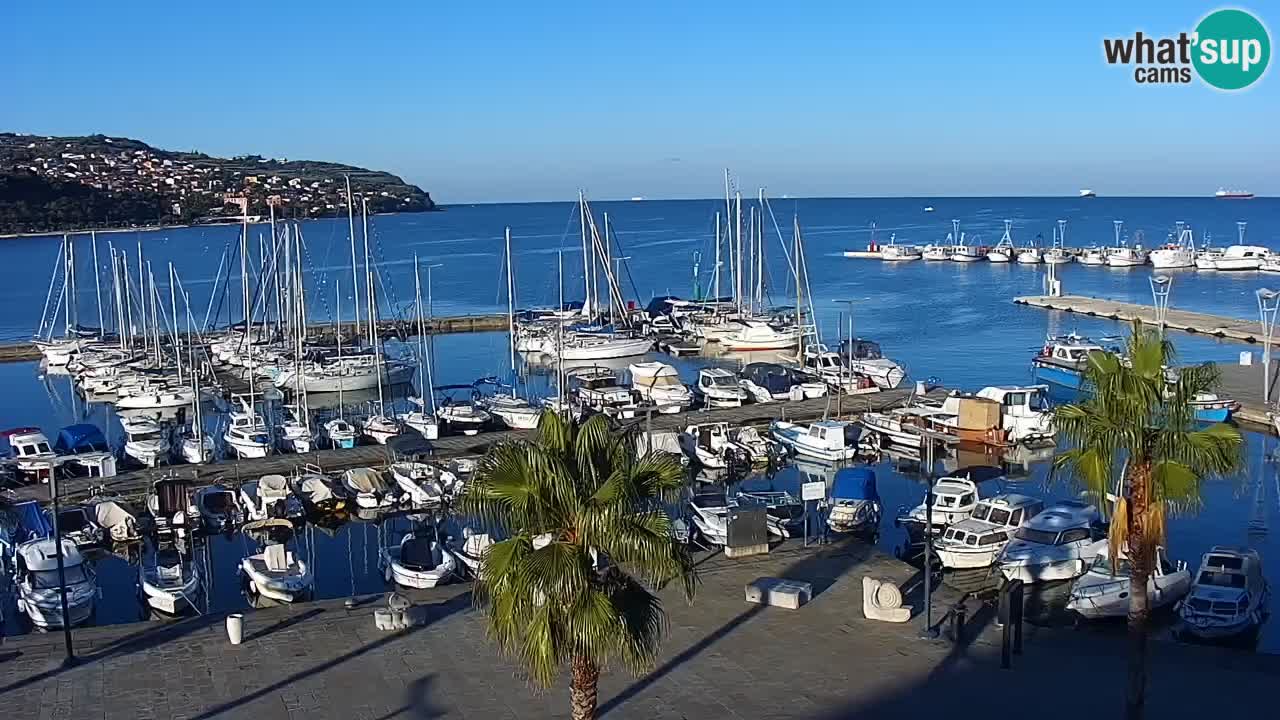 Camera en vivo Koper – puerto deportivo y paseo marítimo desde el Hotel Grand Koper