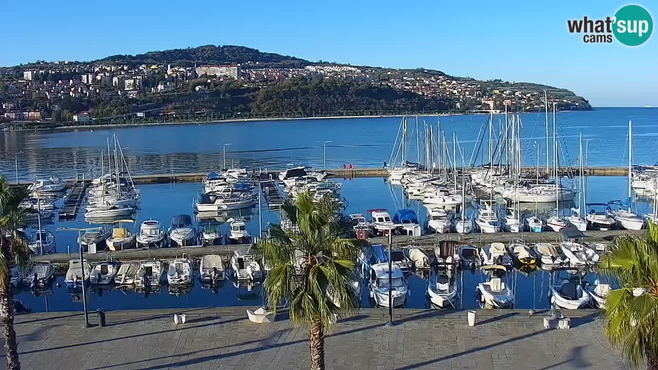 Webcam Koper – Panorama of the marina and promenade from the Grand Hotel Koper