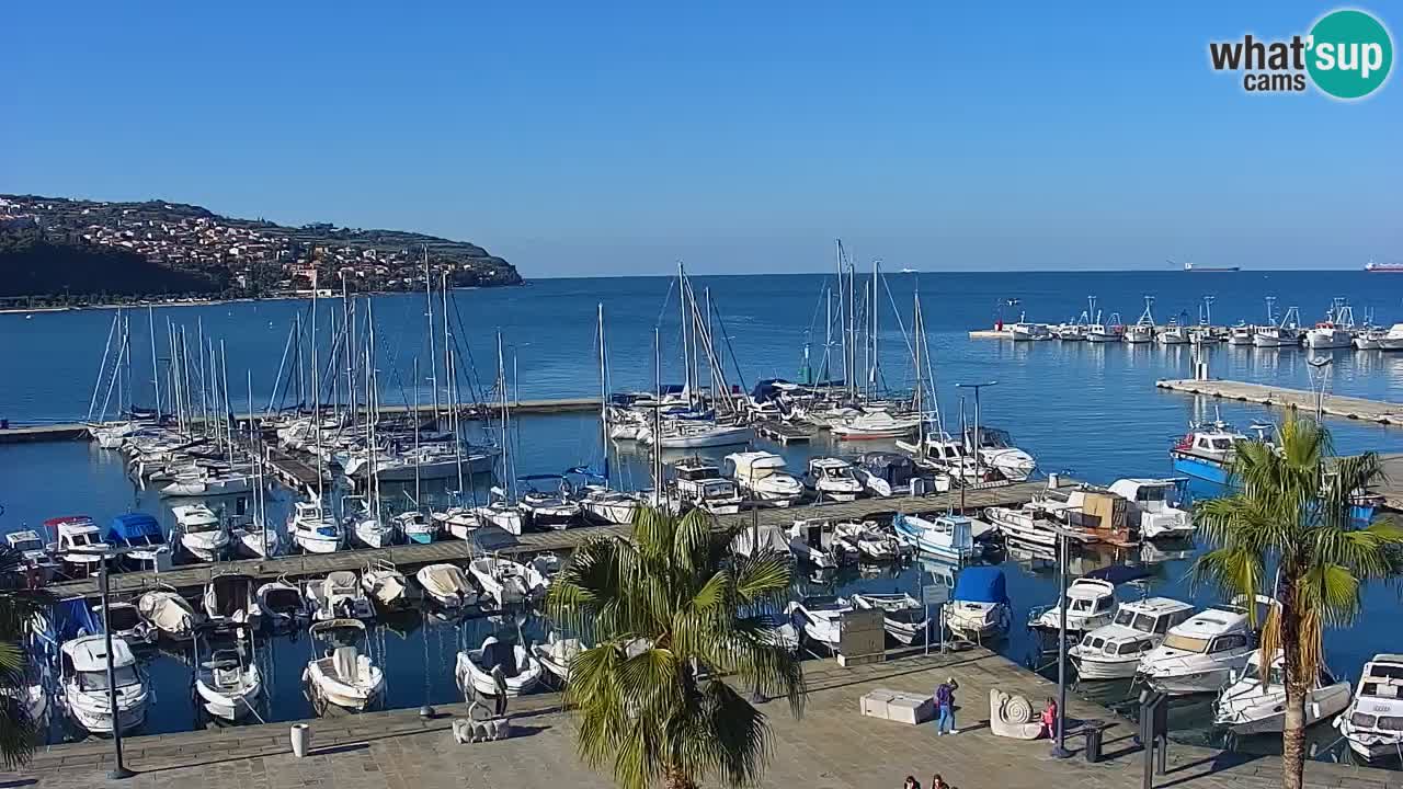 Webcam Capodistria – marina e lungo mare dall’Hotel Grand Koper