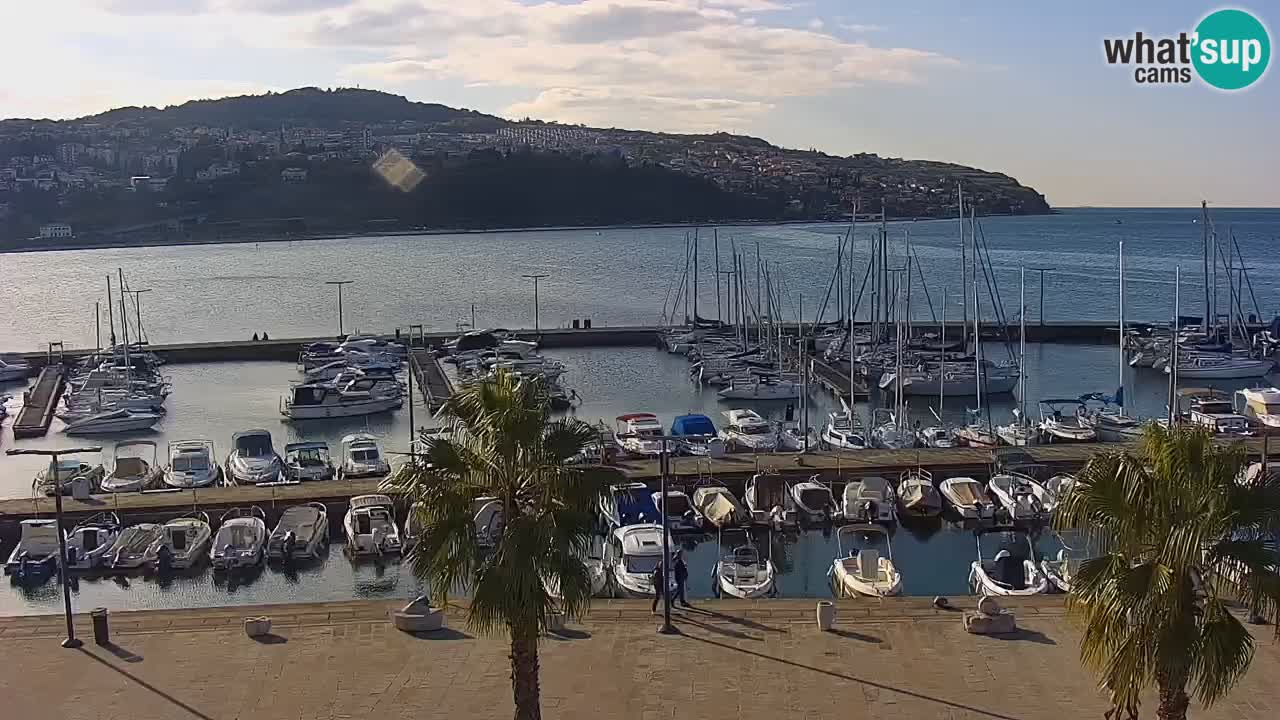 Web kamera Koper – marina i promenada – hotel Grand Koper