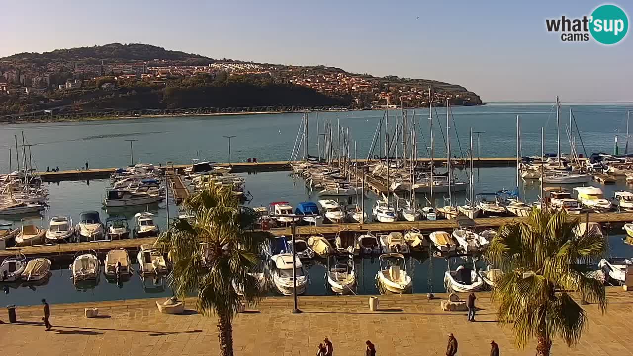 Webcam Koper – Panorama of the marina and promenade from the Grand Hotel Koper
