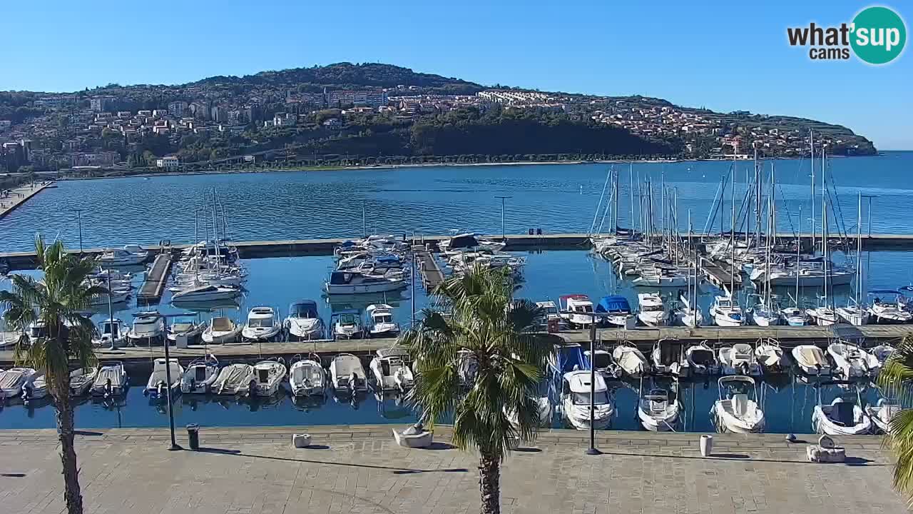 Webcam Koper – Panorama des Jachthafens und der Promenade vom Hotel Grand Koper