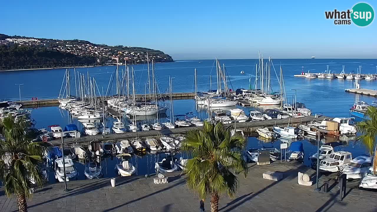 Webcam Koper – Panorama of the marina and promenade from the Grand Hotel Koper