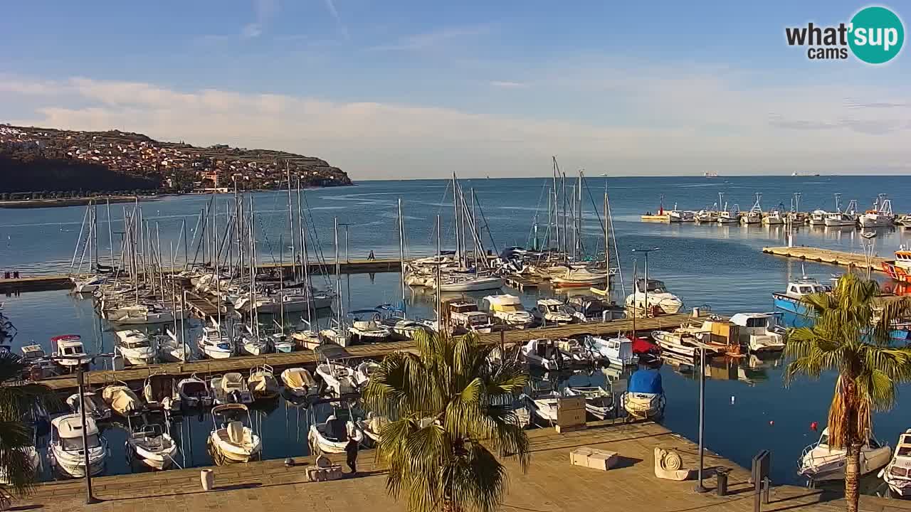 Spletna kamera Koper – Panorama na marino in promenado s Hotela Grand Koper