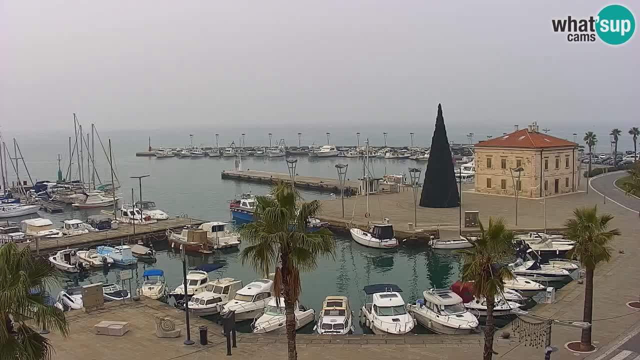 Spletna kamera Koper – Panorama na marino in promenado s Hotela Grand Koper
