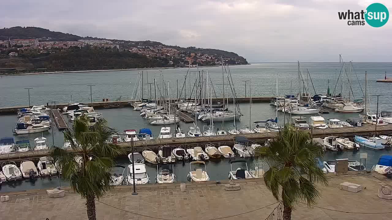 Webcam en vivo del Puerto de Koper – puerto de carga y cruceros – Eslovenia
