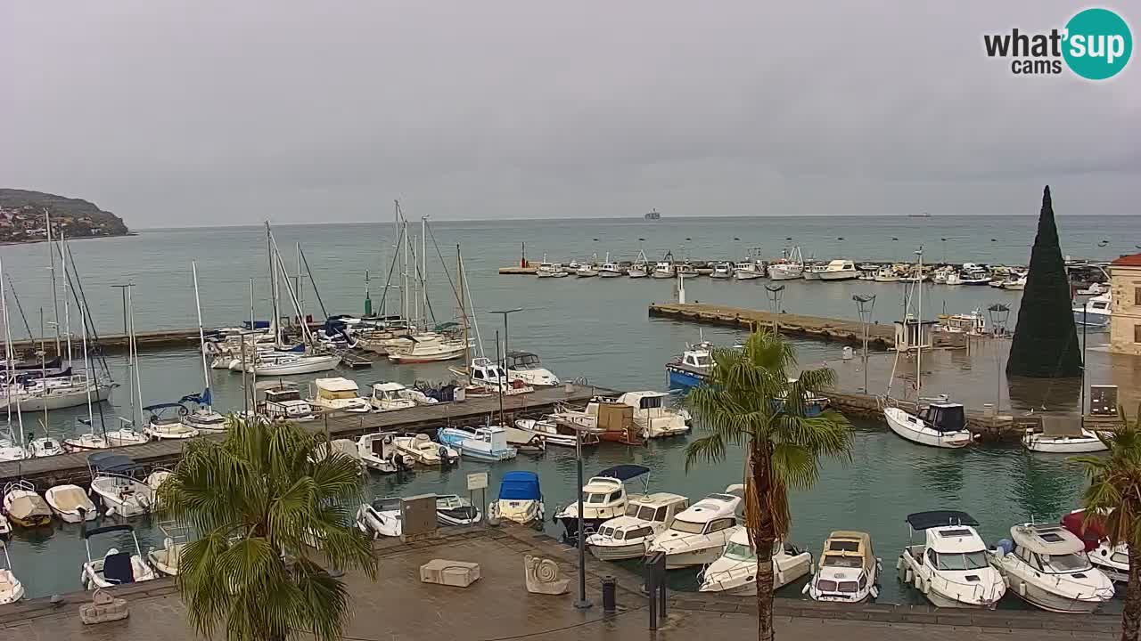 Webcam Capodistria – marina e lungo mare dall’Hotel Grand Koper