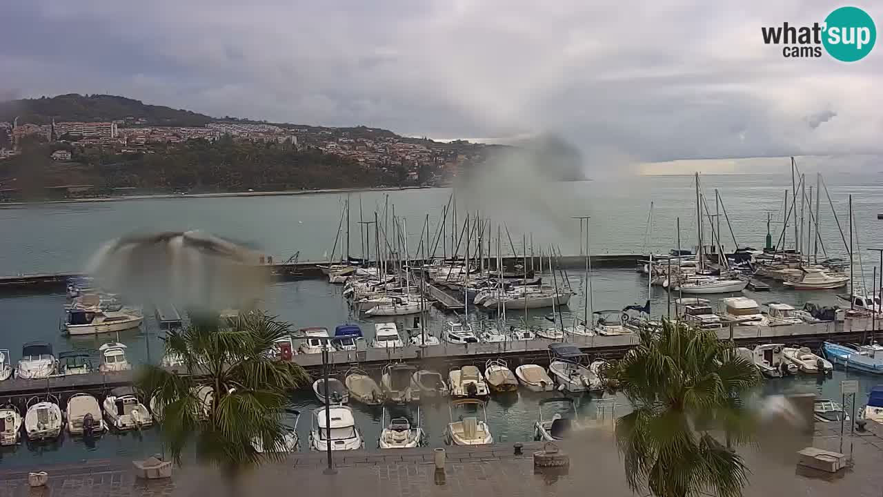 Web kamera Koper – marina i promenada – hotel Grand Koper