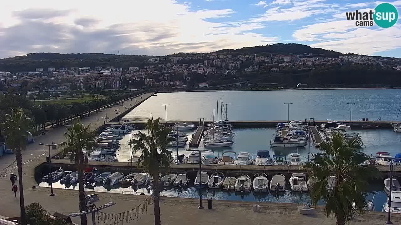 Spletna kamera Koper – Panorama na marino in promenado s Hotela Grand Koper