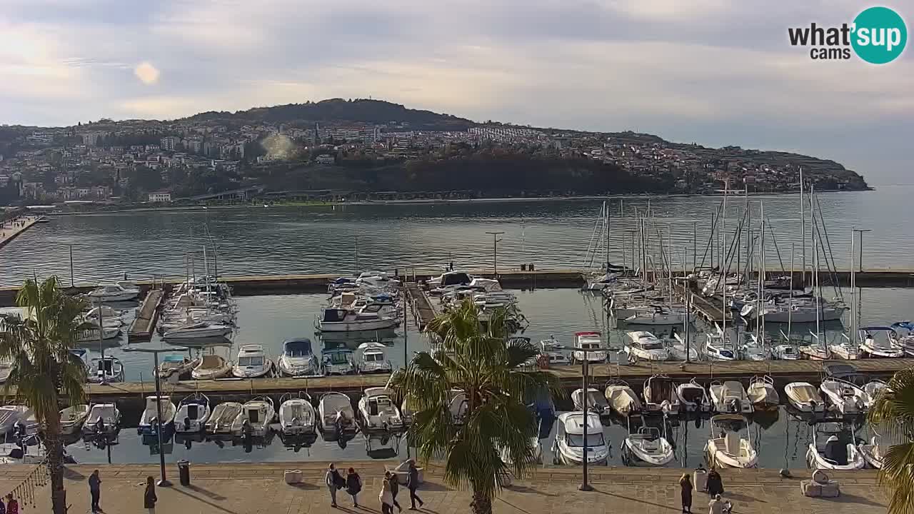 Spletna kamera Koper – Panorama na marino in promenado s Hotela Grand Koper