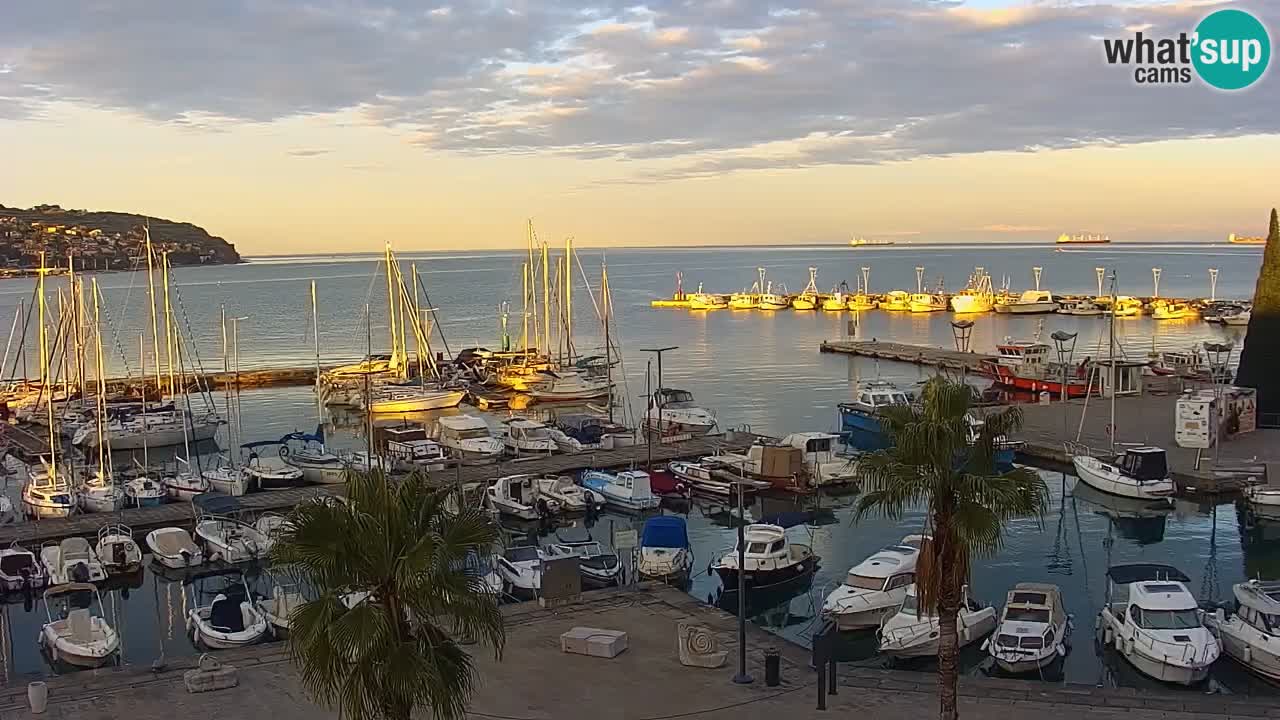 Spletna kamera Koper – Panorama na marino in promenado s Hotela Grand Koper