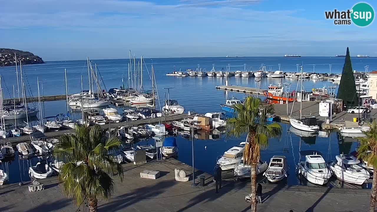 Spletna kamera Koper – Panorama na marino in promenado s Hotela Grand Koper