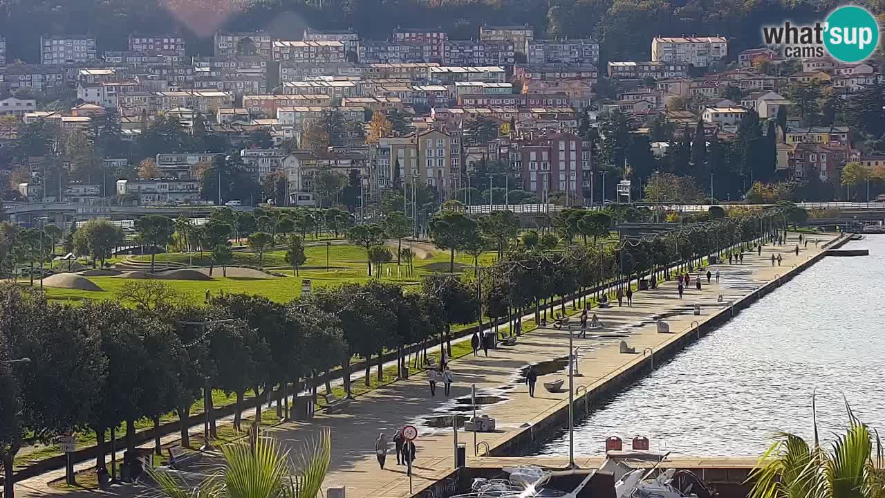 Web kamera Koper – marina i promenada – hotel Grand Koper